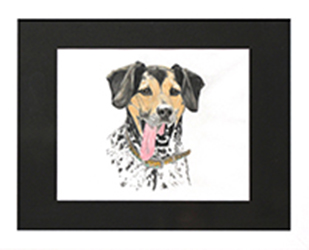 Commissioned Pet Portrait-1