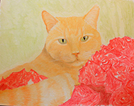 Portrait of Orange Cat