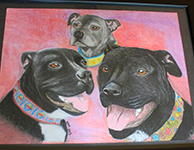 Portrait of 3 dogs