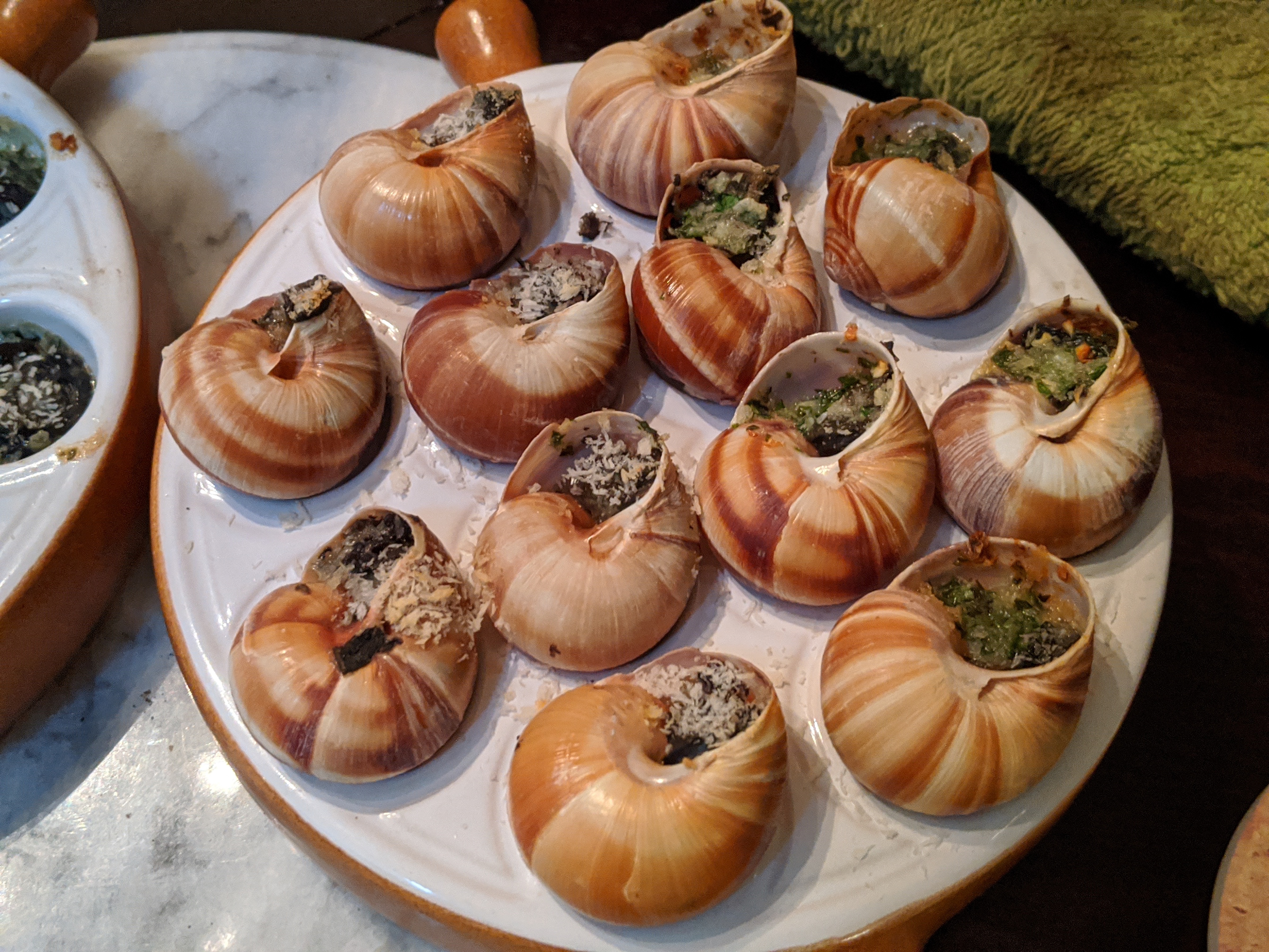 Snails in Shells